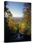 View into Valley from Amicalola Falls-James Randklev-Stretched Canvas