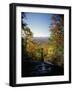 View into Valley from Amicalola Falls-James Randklev-Framed Photographic Print