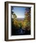 View into Valley from Amicalola Falls-James Randklev-Framed Photographic Print