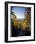 View into Valley from Amicalola Falls-James Randklev-Framed Photographic Print