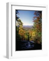 View into Valley from Amicalola Falls-James Randklev-Framed Photographic Print