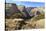 View into Zion Canyon from Trail to Observation Point-Eleanor Scriven-Stretched Canvas
