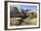 View into Zion Canyon from Trail to Observation Point-Eleanor Scriven-Framed Photographic Print