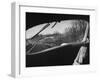 View Looking at the Railroad Tracks from the Front Window of the Train-Peter Stackpole-Framed Photographic Print