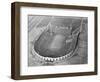 View Looking down on Municipal Stadium-null-Framed Photographic Print