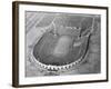 View Looking down on Municipal Stadium-null-Framed Photographic Print