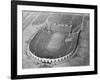 View Looking down on Municipal Stadium-null-Framed Photographic Print