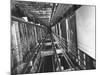 View Looking Up an Elevator Shaft-Bernard Hoffman-Mounted Photographic Print