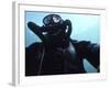 View Looking Up at a Navy Seal Combat Swimmer-null-Framed Photographic Print