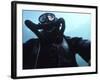 View Looking Up at a Navy Seal Combat Swimmer-null-Framed Photographic Print