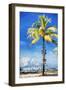 View Miami - In the Style of Oil Painting-Philippe Hugonnard-Framed Giclee Print