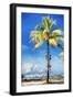 View Miami - In the Style of Oil Painting-Philippe Hugonnard-Framed Giclee Print