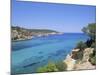 View Near Cala Portinatx, Ibiza, Balearic Islands, Spain, Europe-Firecrest Pictures-Mounted Photographic Print