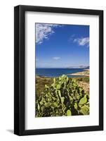 View near Ostriconi Beach, Corsica, France-Massimo Borchi-Framed Photographic Print