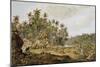 View Near Point du Galle, Ceylon, Engraved by Daniel Havell-Henry Salt-Mounted Giclee Print