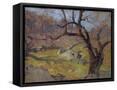 Canvas Black
