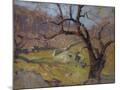 Wood Mount
