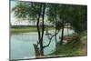 View of a Boat Landing on the Russian River - Healdsburg, CA-Lantern Press-Mounted Art Print