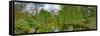 View of a botanical garden, Krakow, Poland-null-Framed Stretched Canvas