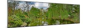 View of a botanical garden, Krakow, Poland-null-Mounted Photographic Print