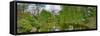 View of a botanical garden, Krakow, Poland-null-Framed Stretched Canvas