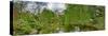 View of a botanical garden, Krakow, Poland-null-Stretched Canvas