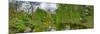 View of a botanical garden, Krakow, Poland-null-Mounted Photographic Print