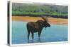 View of a Bull Moose Wading in Water, Yellowstone National Park, Wyoming-Lantern Press-Stretched Canvas