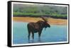 View of a Bull Moose Wading in Water, Yellowstone National Park, Wyoming-Lantern Press-Framed Stretched Canvas