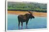 View of a Bull Moose Wading in Water, Yellowstone National Park, Wyoming-Lantern Press-Stretched Canvas