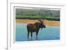 View of a Bull Moose Wading in Water, Yellowstone National Park, Wyoming-Lantern Press-Framed Art Print