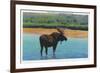 View of a Bull Moose Wading in Water, Yellowstone National Park, Wyoming-Lantern Press-Framed Art Print