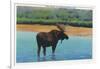 View of a Bull Moose Wading in Water, Yellowstone National Park, Wyoming-Lantern Press-Framed Art Print