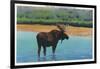 View of a Bull Moose Wading in Water, Yellowstone National Park, Wyoming-Lantern Press-Framed Art Print