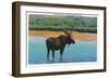 View of a Bull Moose Wading in Water, Yellowstone National Park, Wyoming-Lantern Press-Framed Art Print