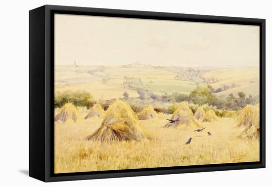 View of a Cornfield with Rooks-Harry E. James-Framed Stretched Canvas