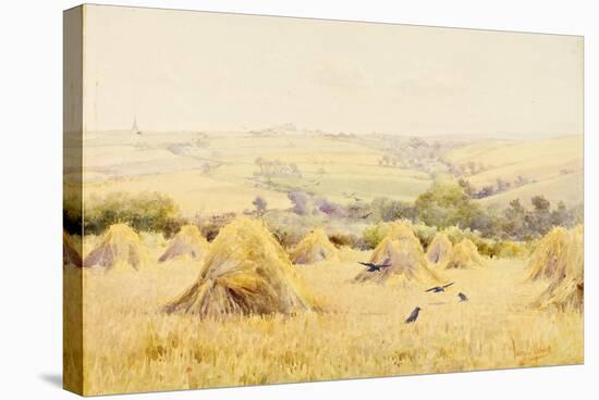 View of a Cornfield with Rooks-Harry E. James-Stretched Canvas