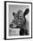 View of a Cow on a Farm-Eliot Elisofon-Framed Photographic Print