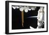View of a Docked Russian Soyuz Spacecraft and Part of the International Space Station-null-Framed Photographic Print