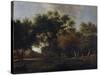 View of a Forest-Jan van Kessel-Stretched Canvas