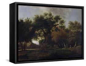 View of a Forest-Jan van Kessel-Framed Stretched Canvas