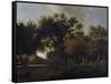 View of a Forest-Jan van Kessel-Framed Stretched Canvas