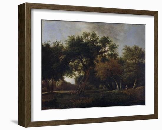 View of a Forest-Jan van Kessel-Framed Art Print