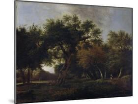 View of a Forest-Jan van Kessel-Mounted Art Print