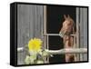 View of a horse in a stable-null-Framed Stretched Canvas