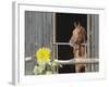 View of a horse in a stable-null-Framed Photographic Print