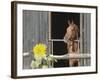 View of a horse in a stable-null-Framed Photographic Print