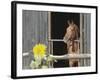 View of a horse in a stable-null-Framed Photographic Print