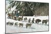 View of a Husky Dog-Sled Team - Alaska-Lantern Press-Mounted Art Print