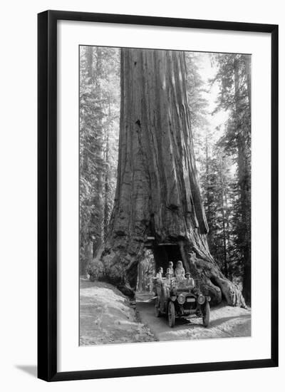 View of a Loaded Model-T Ford under Wawona Tree - Redwood National Park, CA-Lantern Press-Framed Art Print